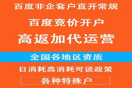 成功案例：信息流优化师在社交平台上的广告策略